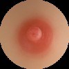 #2 Areolas 