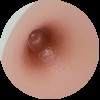 #4 Areolas 