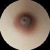 #6 Areolas 